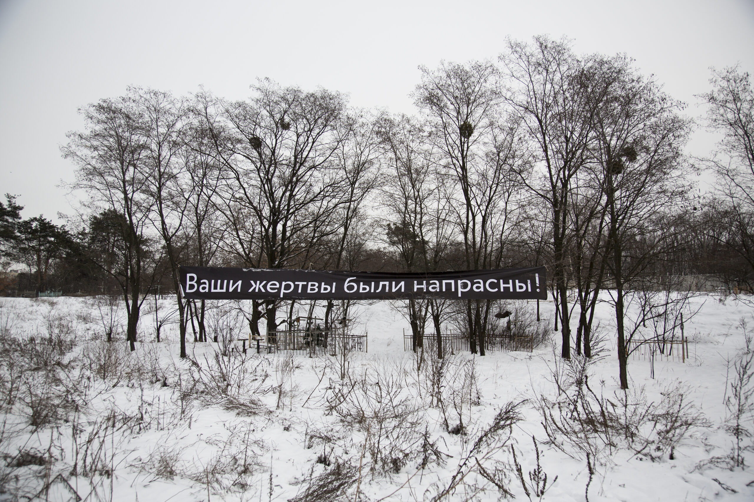 «Ландшафт як монумент»: Тетяна Кочубінська про кураторський виклик