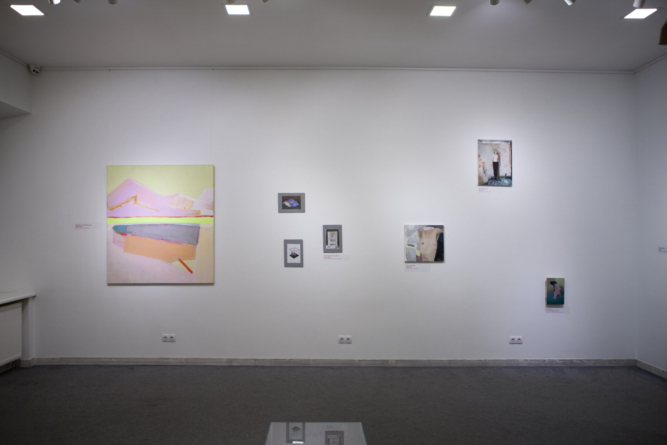 «Рожева виставка», вигляд експозиції в галереї «Білий світ», 2021