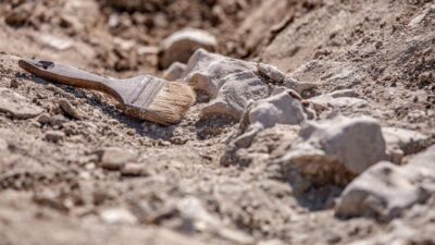 Кабмін ввів санкції проти археологів за розкопки у Криму
