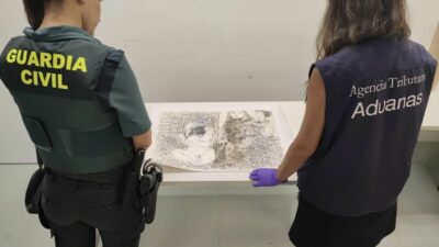 В Іспанії митники вилучили малюнок Пабло Пікассо