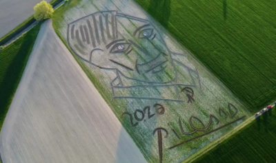 Художник вирізав трактором величезний портрет Пабло Пікассо в полі