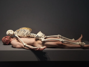 У MoMA відповіли на позов щодо сексуальних домагань під час виставки Марини Абрамович